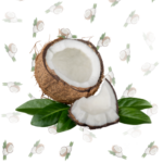 White - Coconut