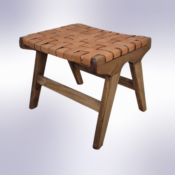 6 Flavor Variants Leather Accent Chair