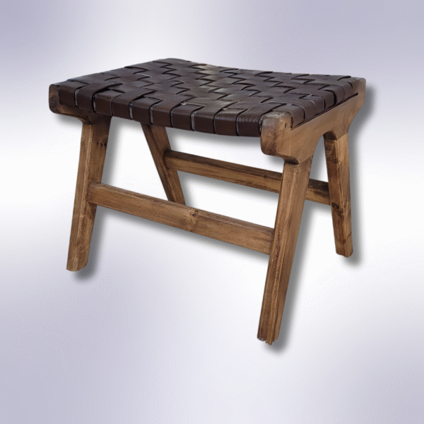 6 Flavor Variants Leather Accent Chair