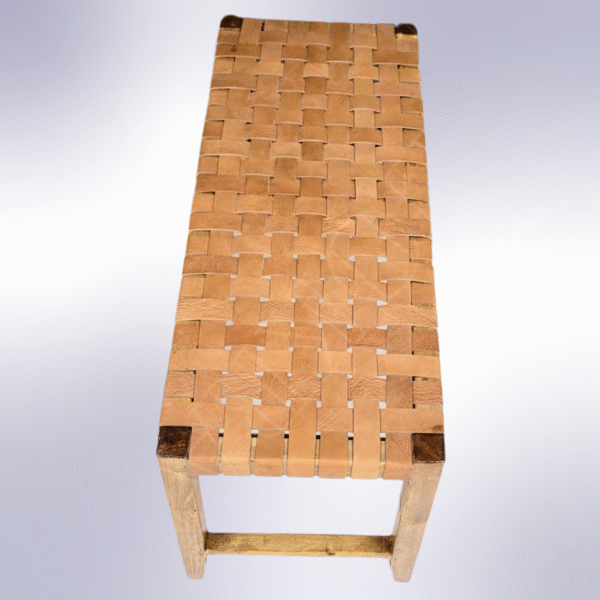 6 Flavor Variants Leather Entryway Chair