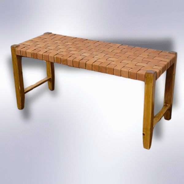 6 Flavor Variants Leather Entryway Chair