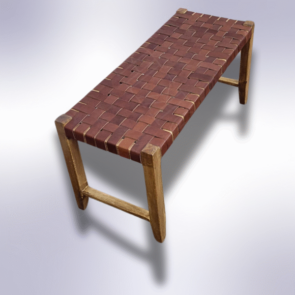 6 Flavor Variants Leather Entryway Chair