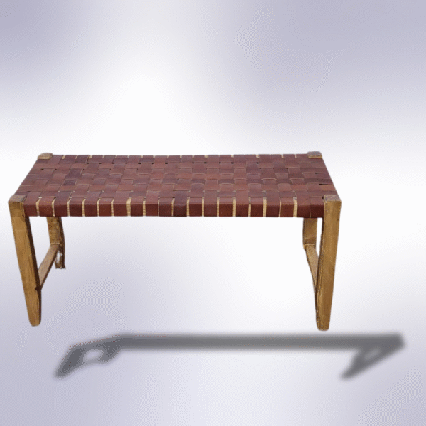 6 Flavor Variants Leather Entryway Chair