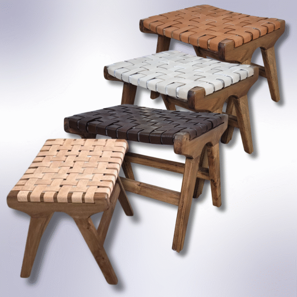 6 Flavor Variants Leather Accent Chair