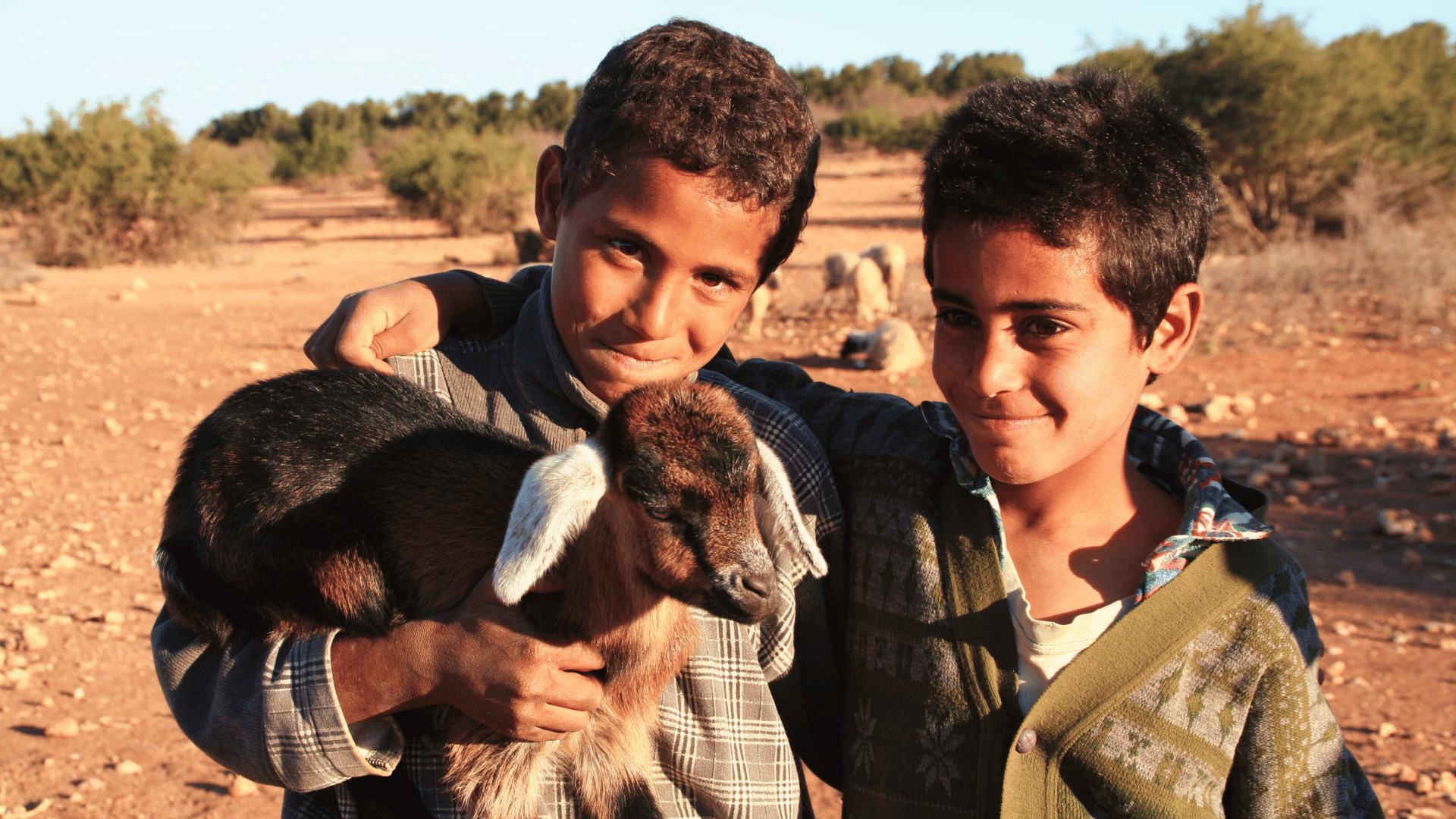 The Amazigh People Of Morocco: Two Amazigh children holding a small sheep, symbolizing rural life and Amazigh family values.