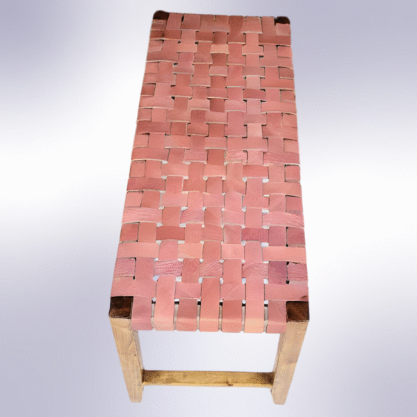 6 Flavor Variants Leather Entryway Chair